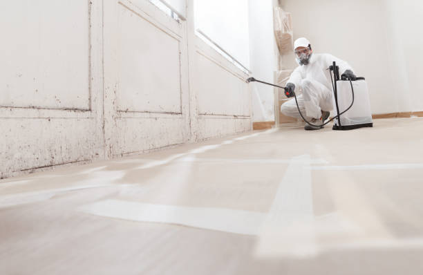 24/7 Emergency Crawl Space Mold Removal experts in Fayetteville, GA