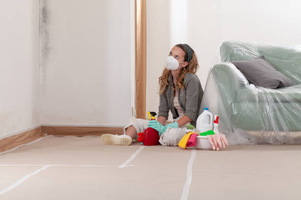 Reliable Mold Cleanup contractor in Fayetteville, GA by Cheap Mold Removal