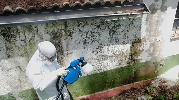 Trusted Mold Testing service in Fayetteville, GA - Cheap Mold Removal